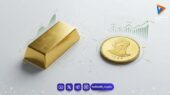 نمودار شگفت‌انگیز قیمت طلا و سکه؛ راز رفتار متفاوت دو دارایی محبوب سرمایه‌گذاران